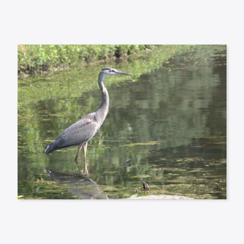 Heron