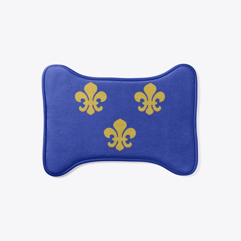 Kingdom of France (843-1789/1815-1830)