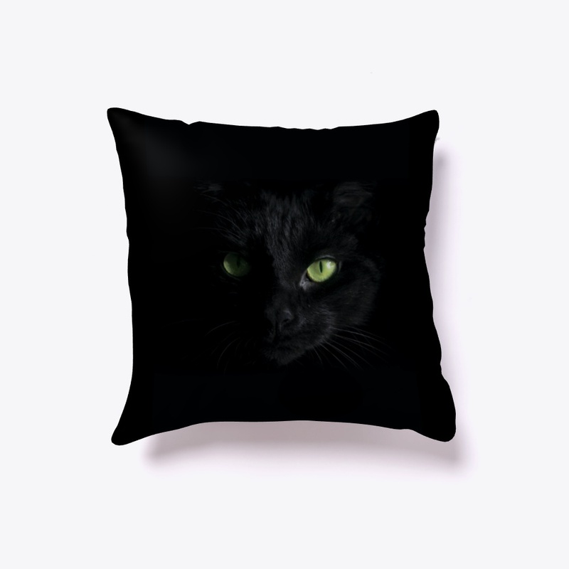 Black cat