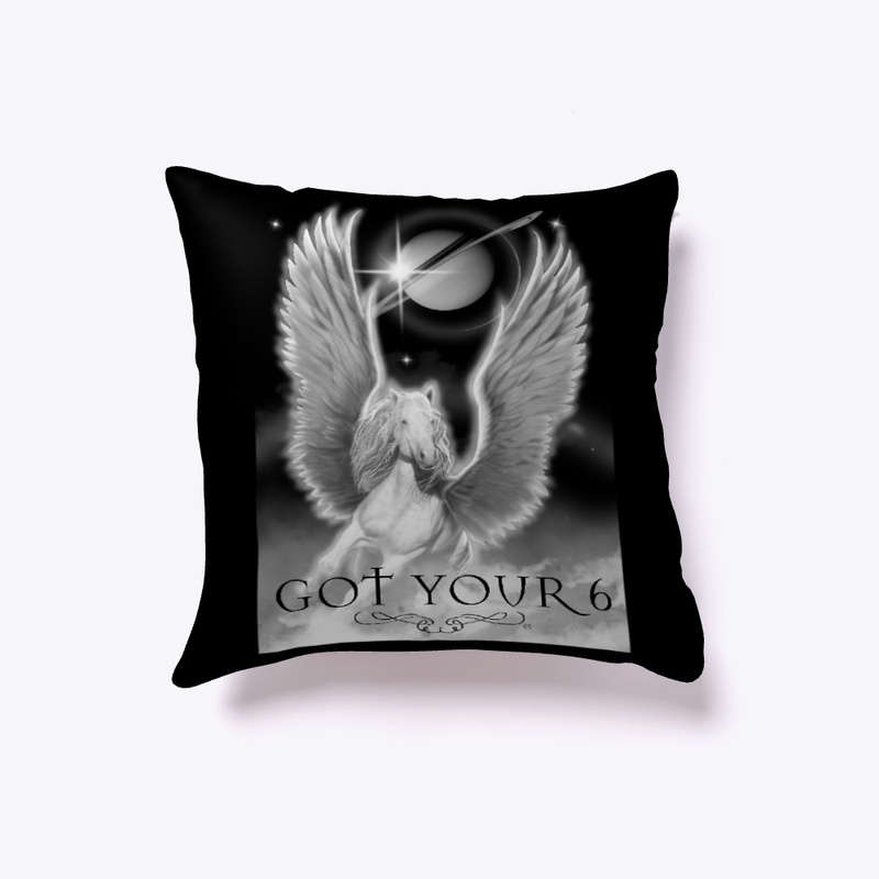 Pillow Got YOUR 6