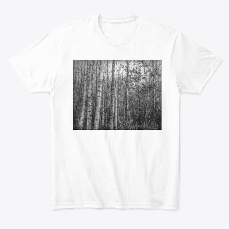 Silver Birch