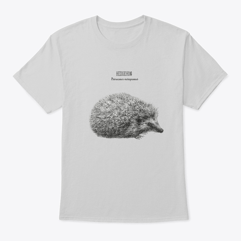 Hedgehog - Erinaceus Europaeus