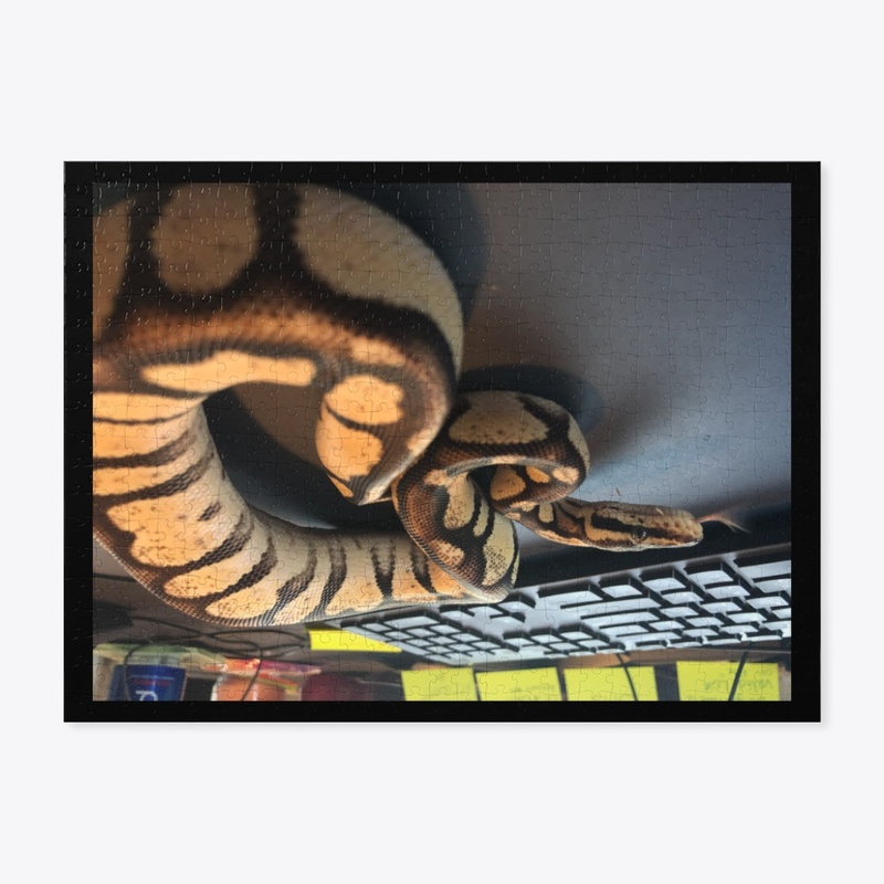 OFFICE ASSISTANT BALL PYTHON