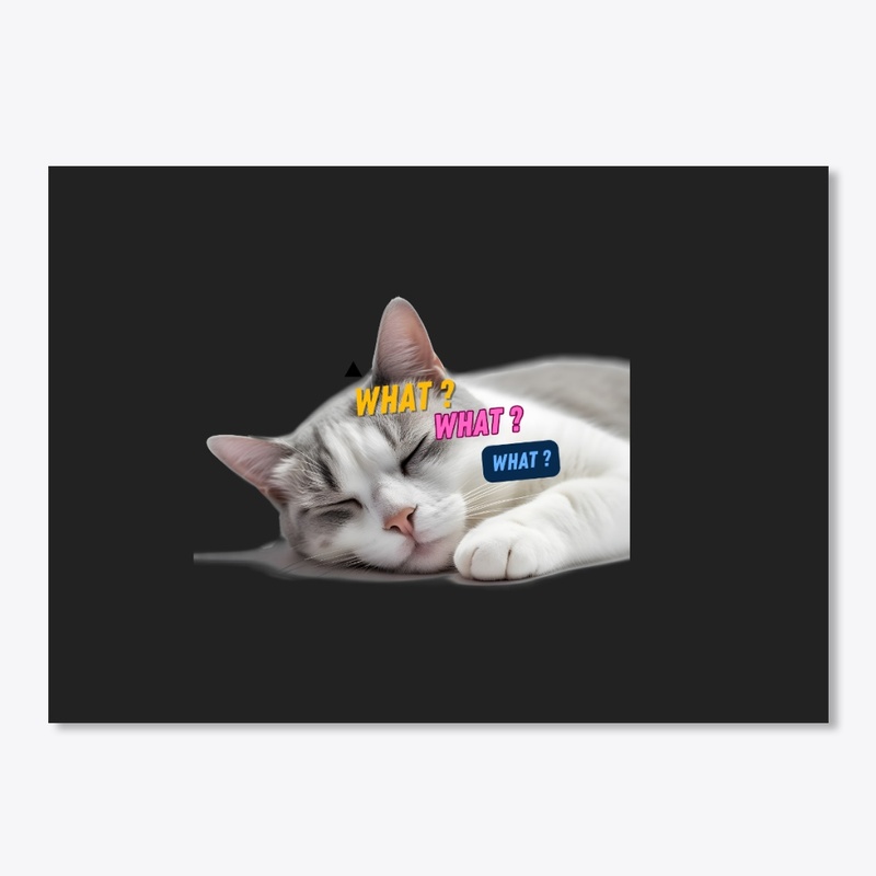 Every cat is my best friend.