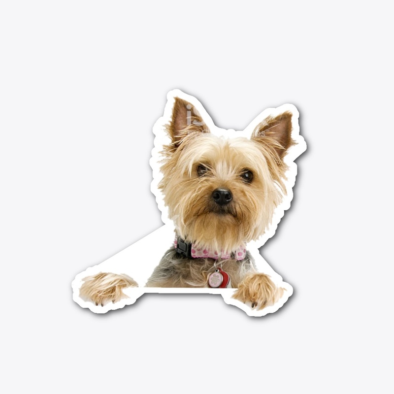 Cute gift for yorkie lovers