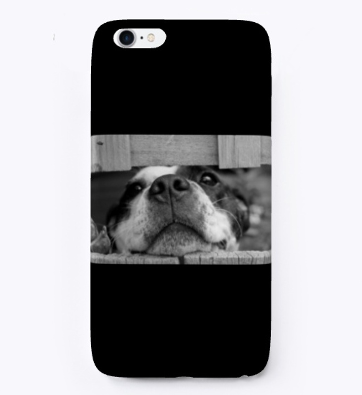 Lovely dog
