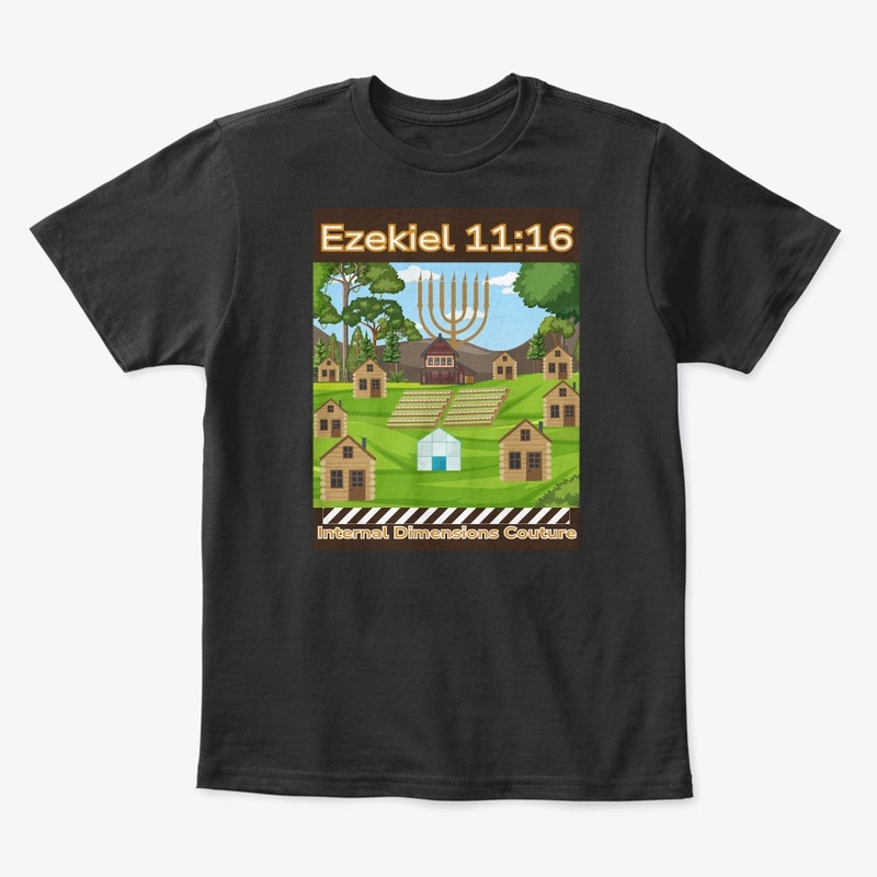 Ezekiel 11:16 Collection 