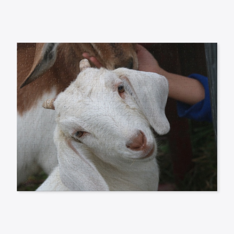 Goat 2