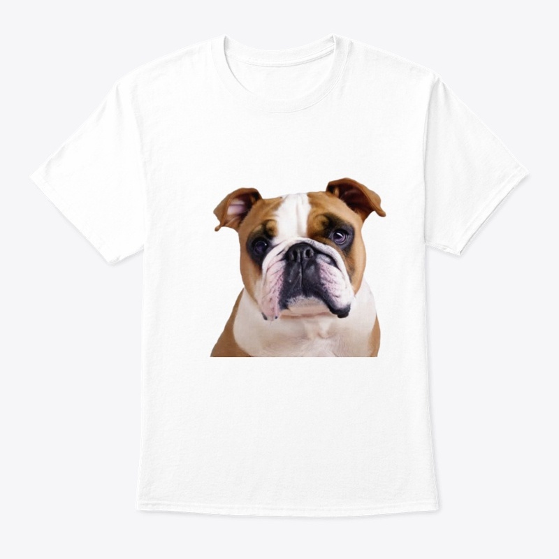 Dog bulldog sitting 