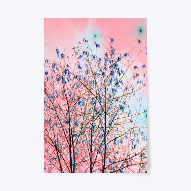 pink sky blue tree