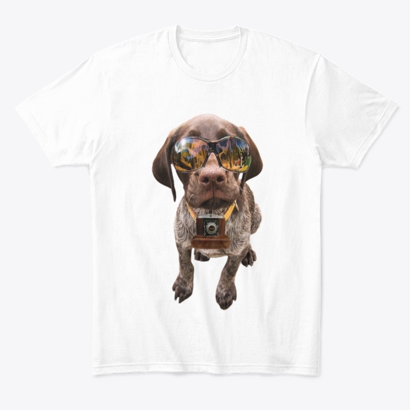 CHIEN