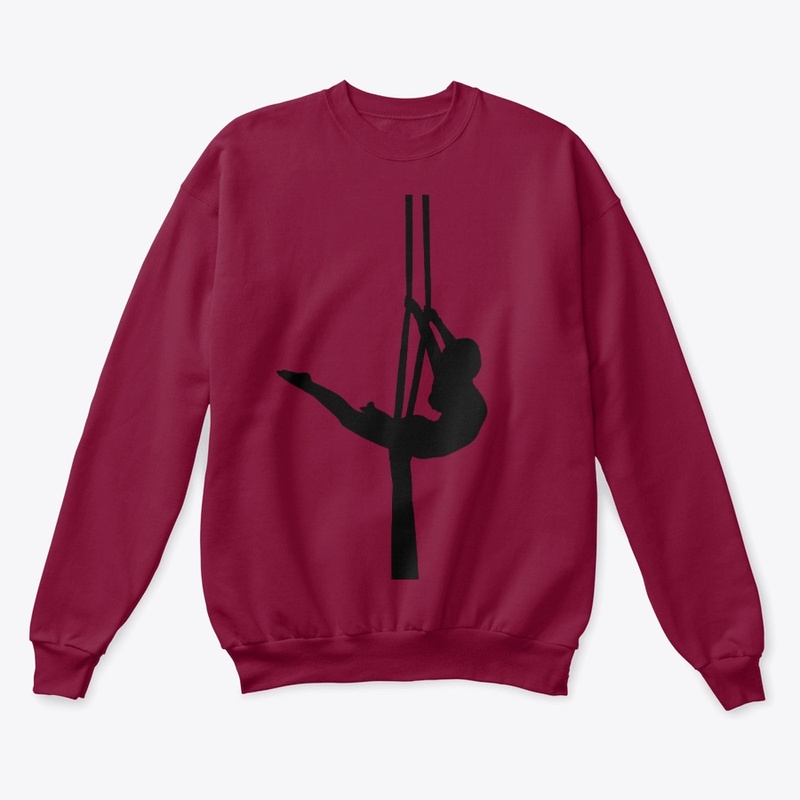 2019 Aerialist on Silks C.J.