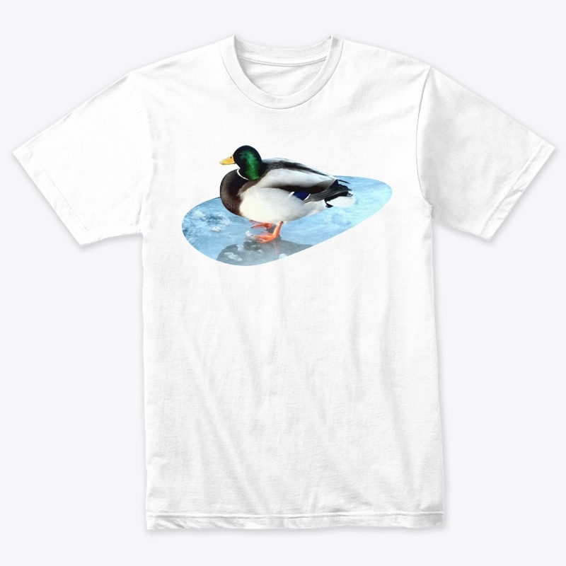 Ducks sit on the ice and swim 
