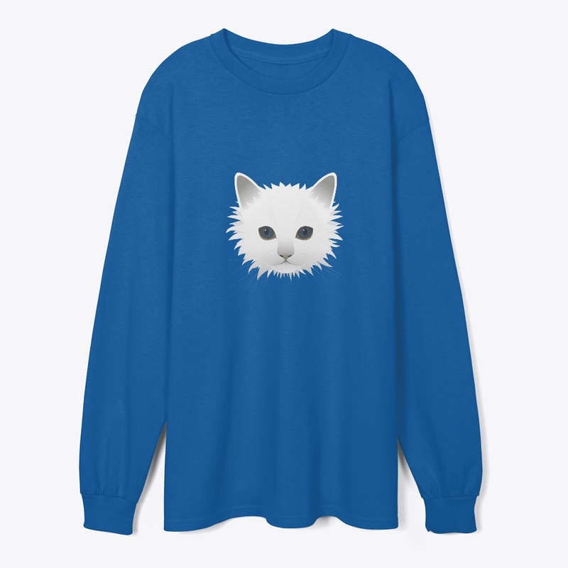 Cute kitten 