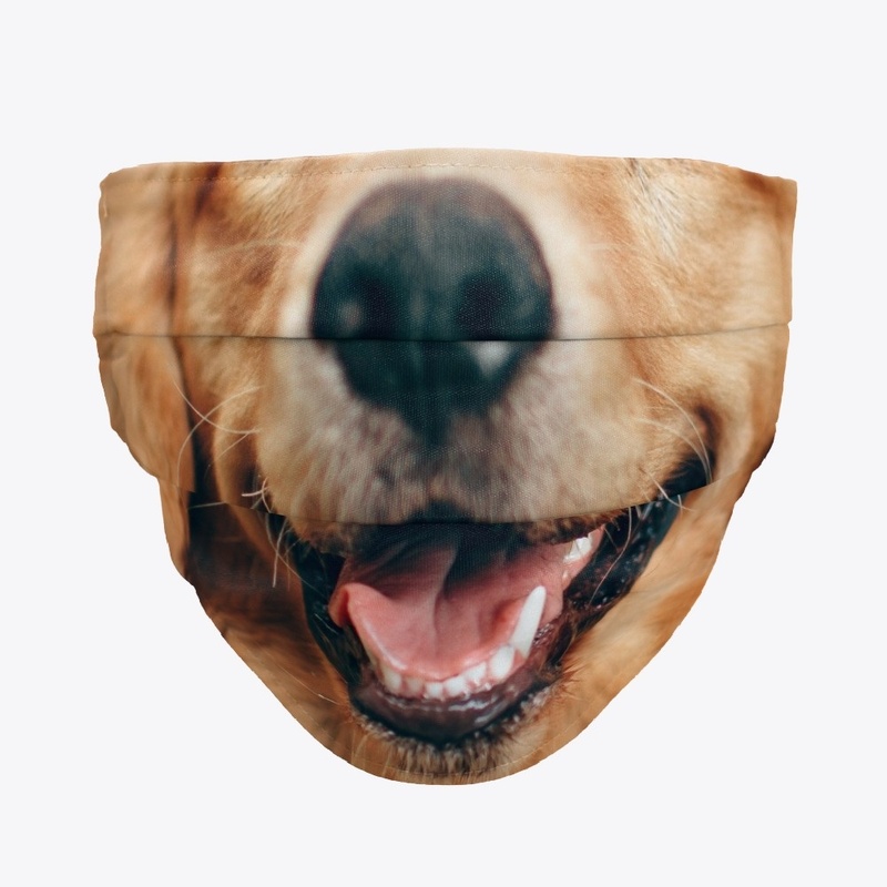 Adorable Golden Retriever face