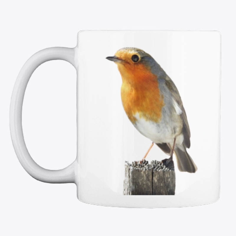 Cute Robin