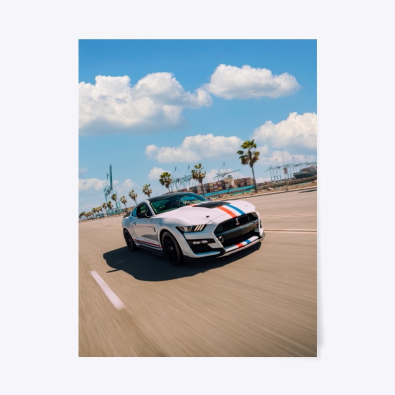 2020 Shelby GT500 Long Beach Roller