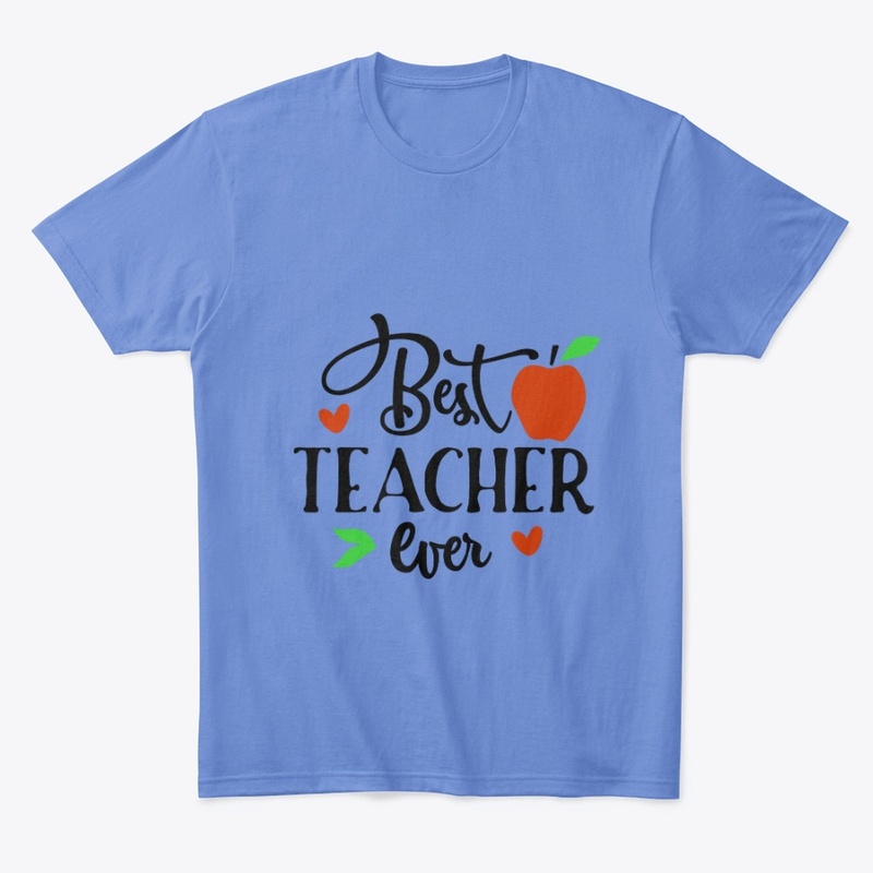 Best Teacher Ever Shirt, Teacher T Shirt