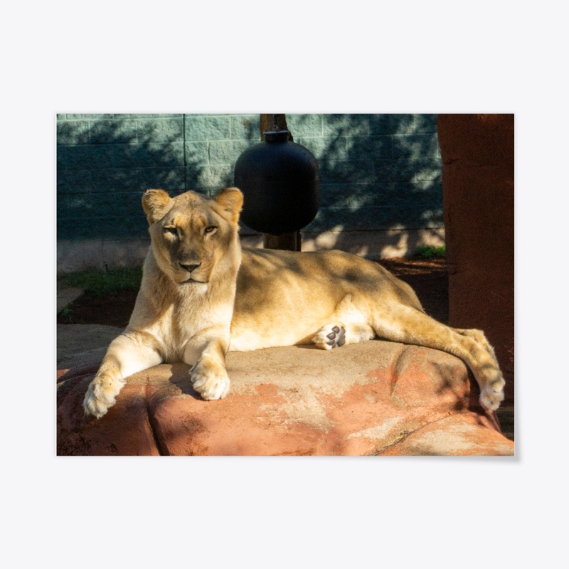 Lion on the Rock