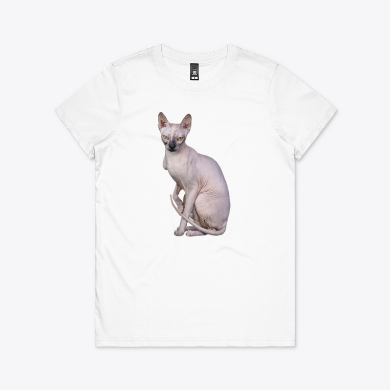Kiss me chat