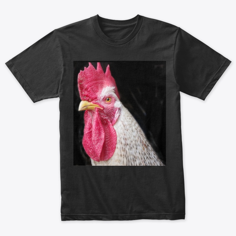 rooster chicken farm animal