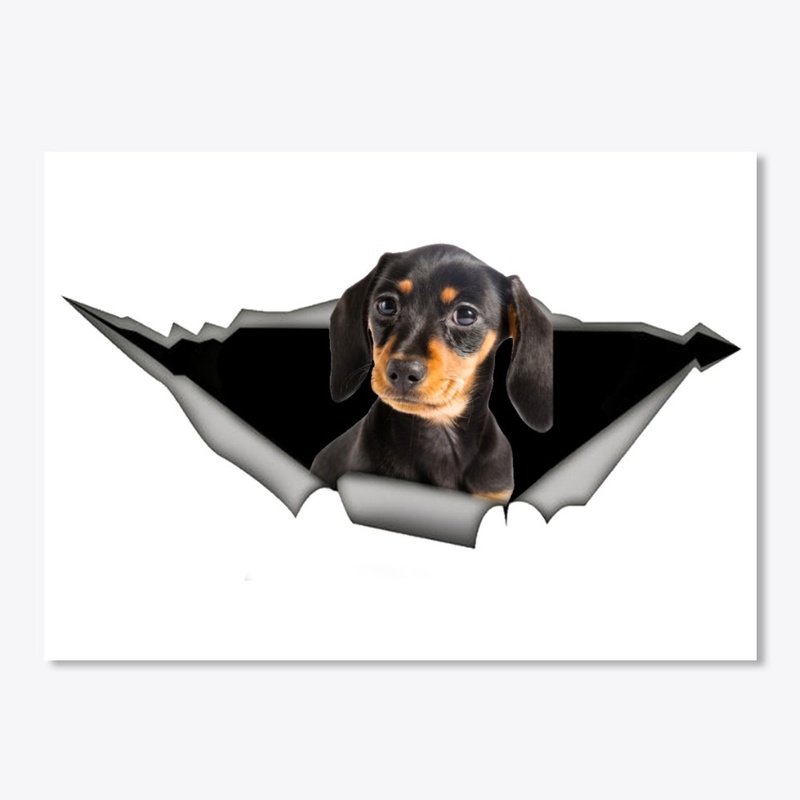  Tan dachshund , pet sticker, car decal