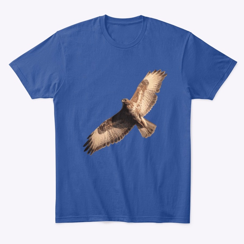 The Buzzard