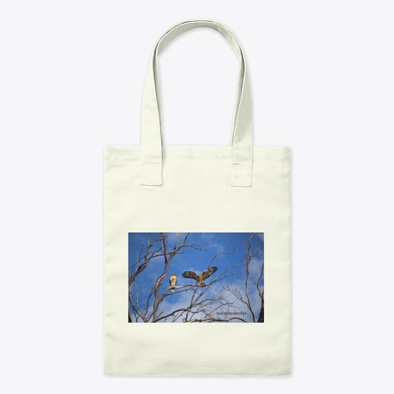 Hawk in tree