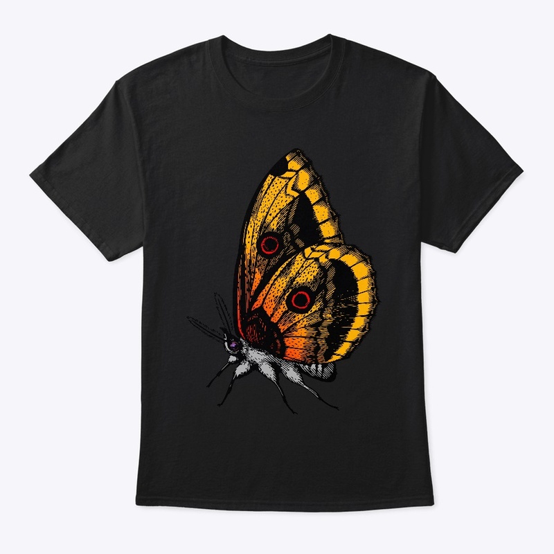 Butterfly 4