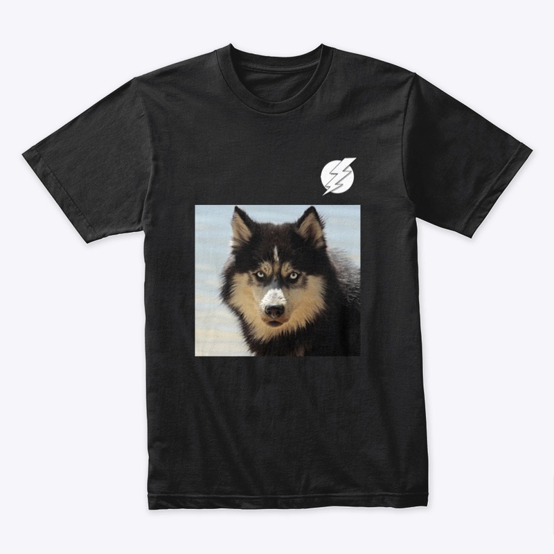 Husky Potter