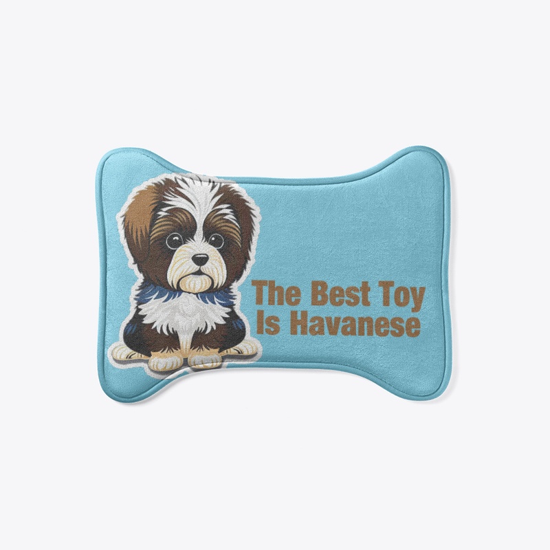 The Best Toy is Havanese