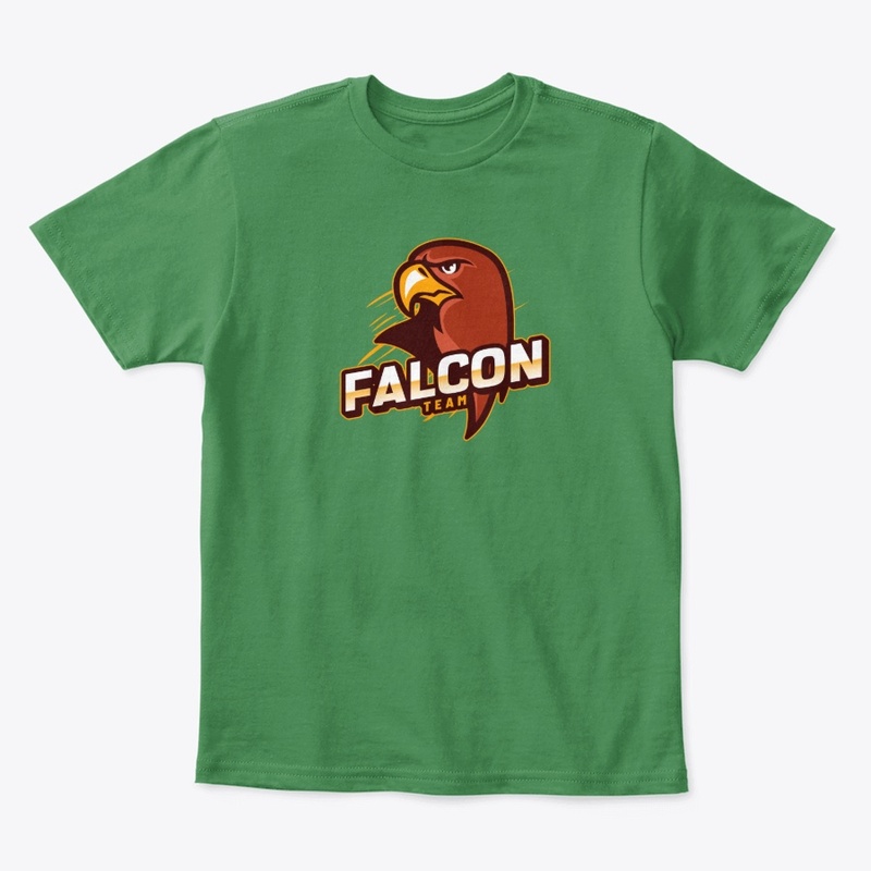 Team Falcon2