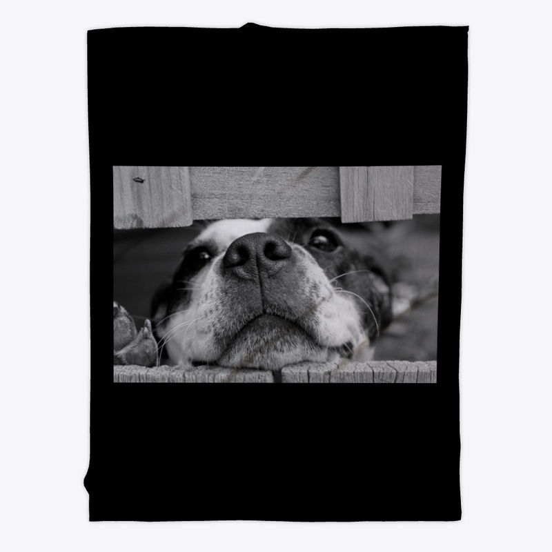 Lovely dog