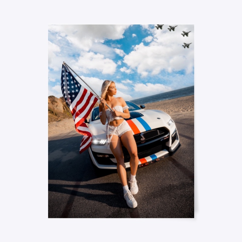 "Called In A Favor" 2020 GT500 Wall Art