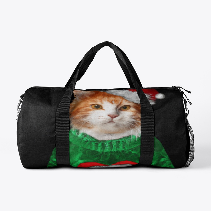 Santa Cat