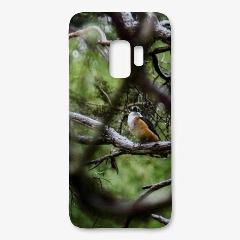 New Zealand Kingfisher