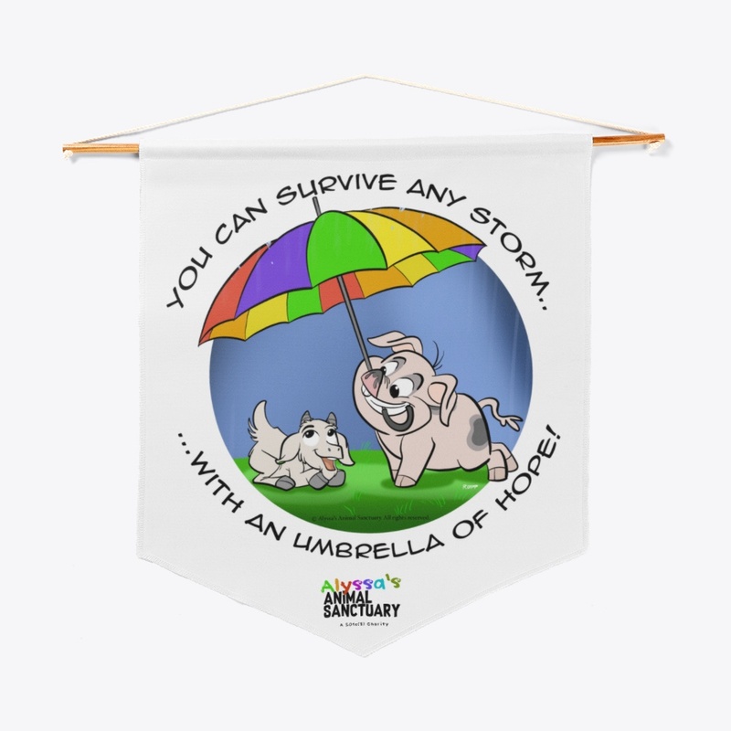 Hurricane Idalia Relief Fundraiser Home 