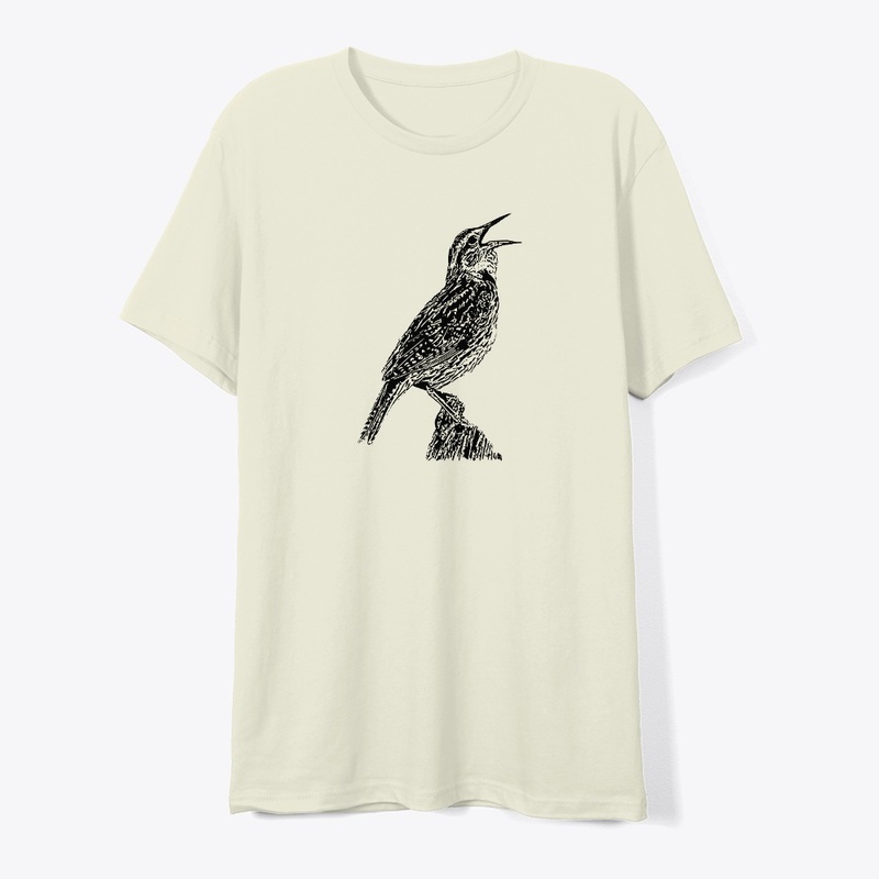 Singing Western Meadowlark Birdwatching
