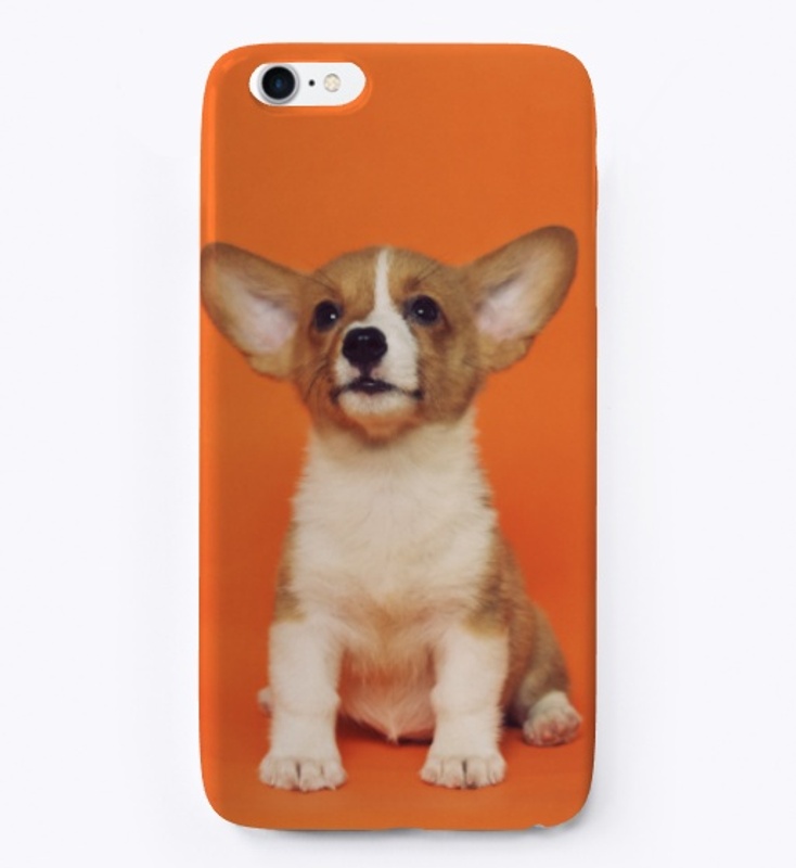 Chihuahua Case