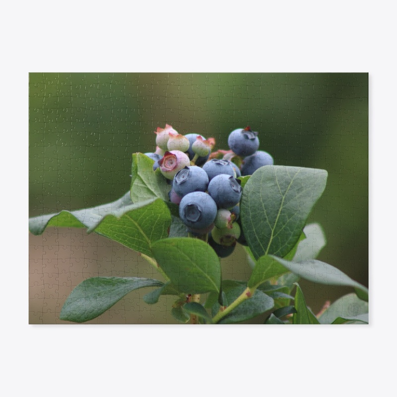 Blueberries 1