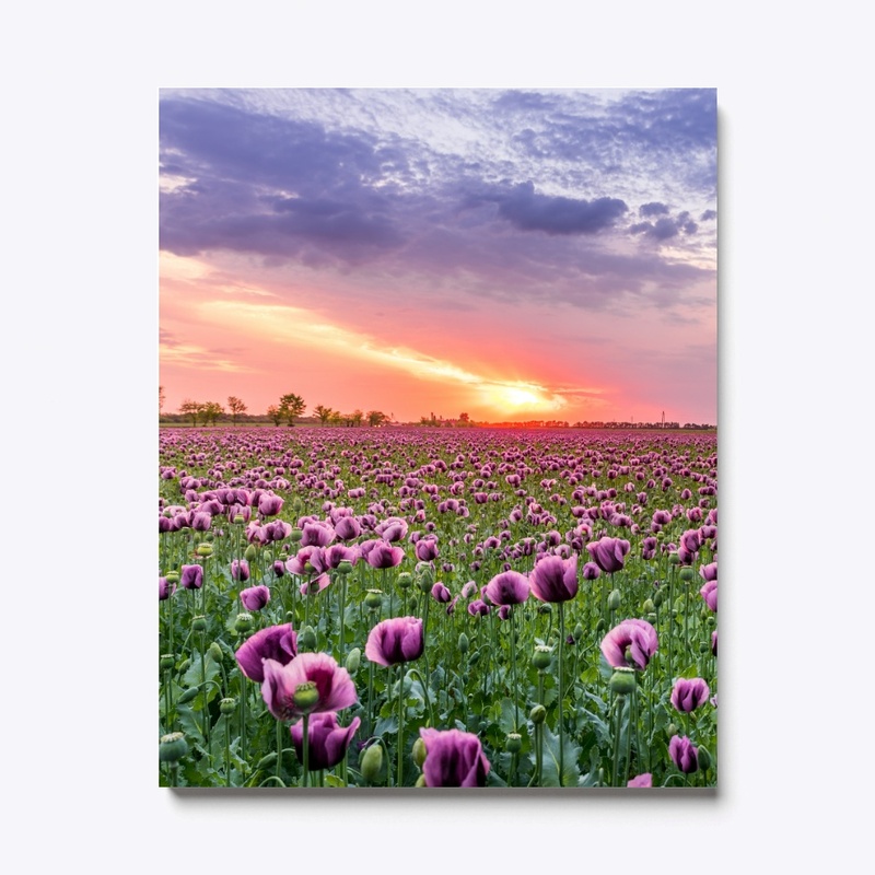 NATURE MIND RELAXING CANVAS