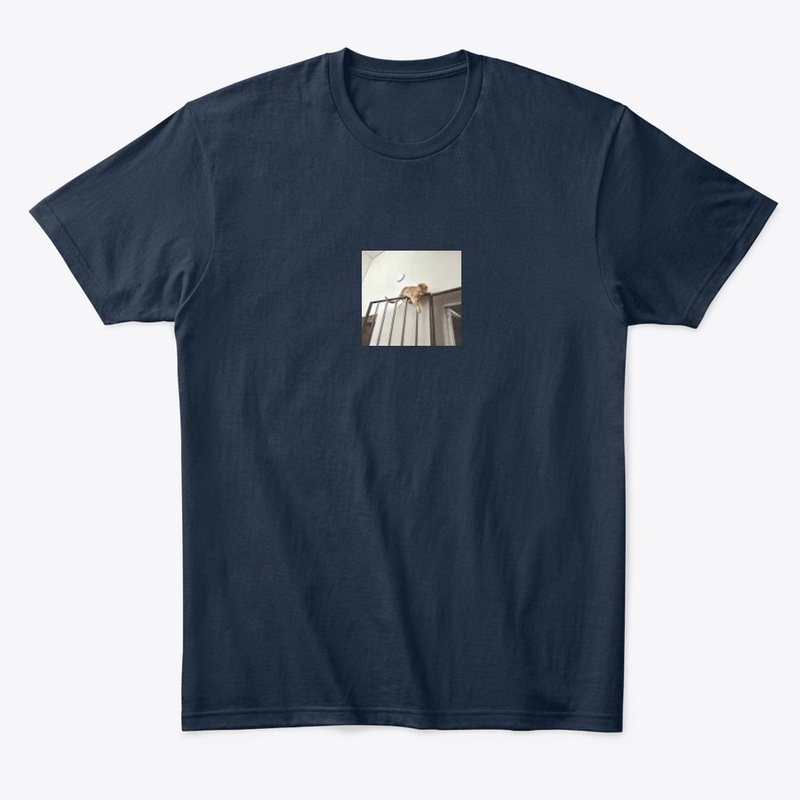 J'aime les animaux