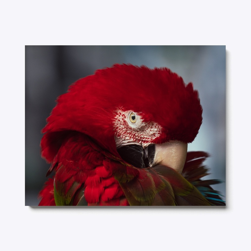 Birds of a feather 2