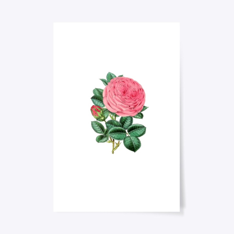 Vintage flower pink roze