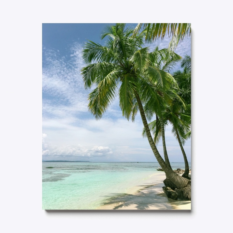 Palm Trees