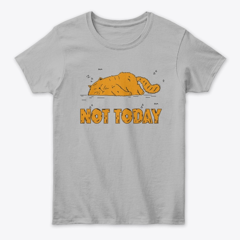 NO TODAY FUNNY CAT