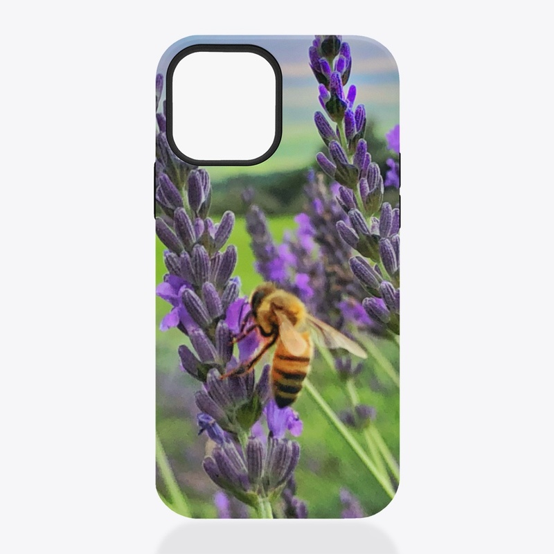 Bee in Maui Lavender
