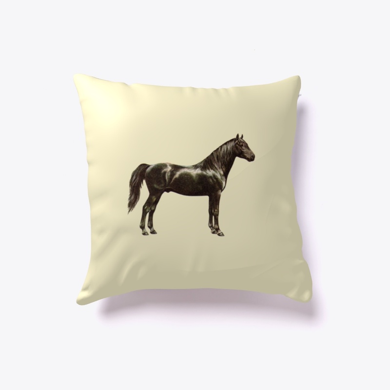 Morgan Horse