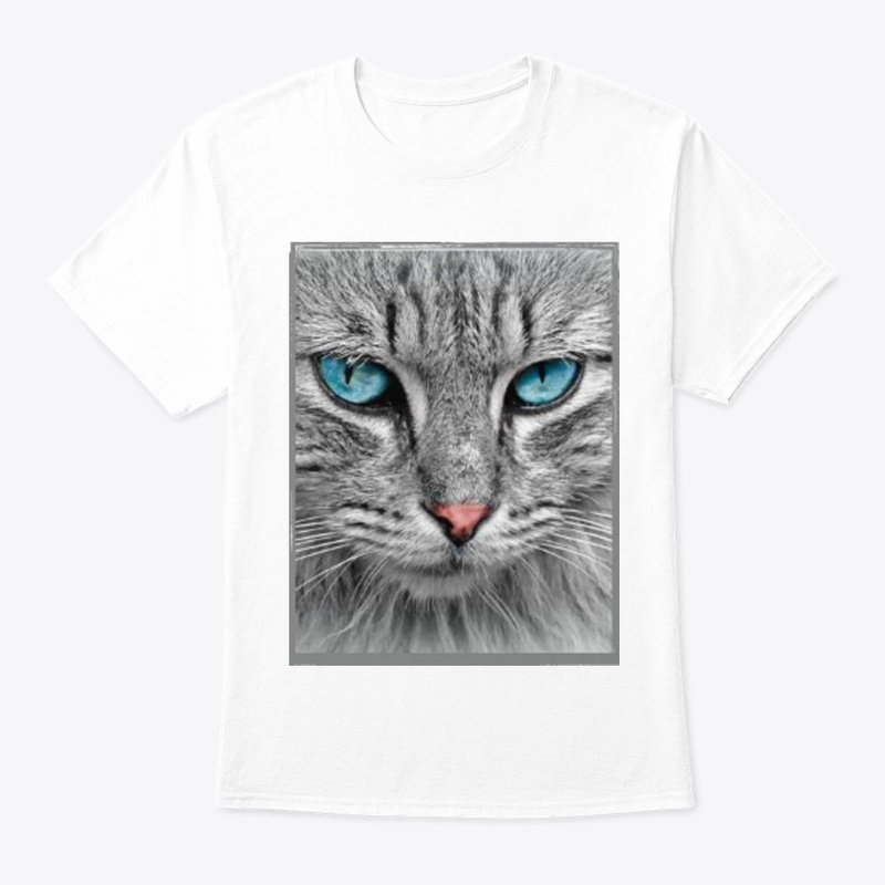Angry Cat