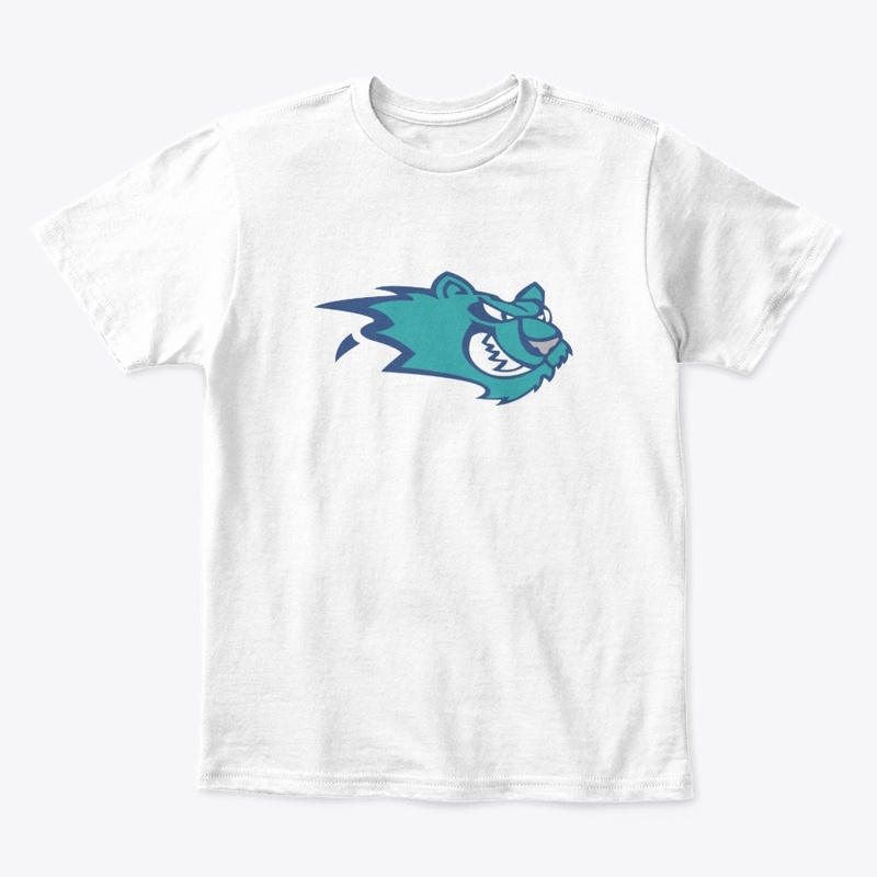 Worcester IceCats Hockey